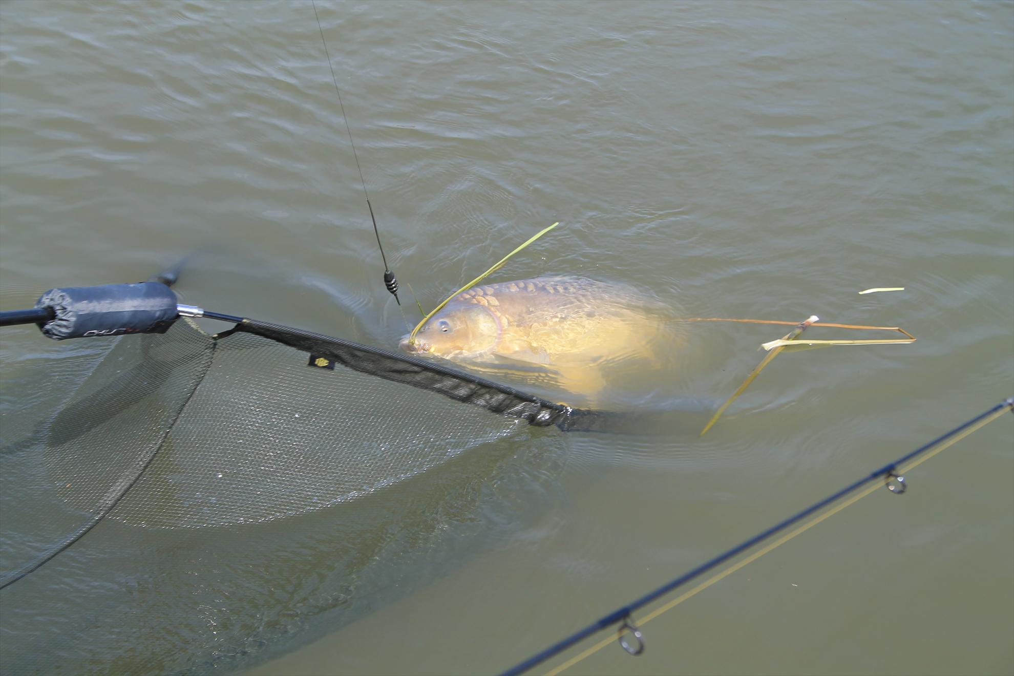 Nagykallo 2013 FedeerTeamUnique - nagykallo-aprilie2013-165.JPG